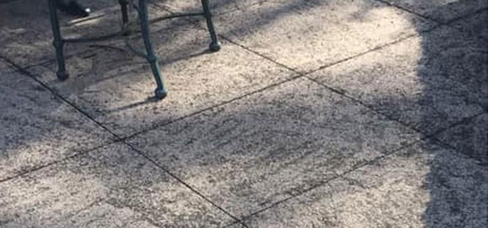 west michigan concrete patio cleaning service on dirty cement